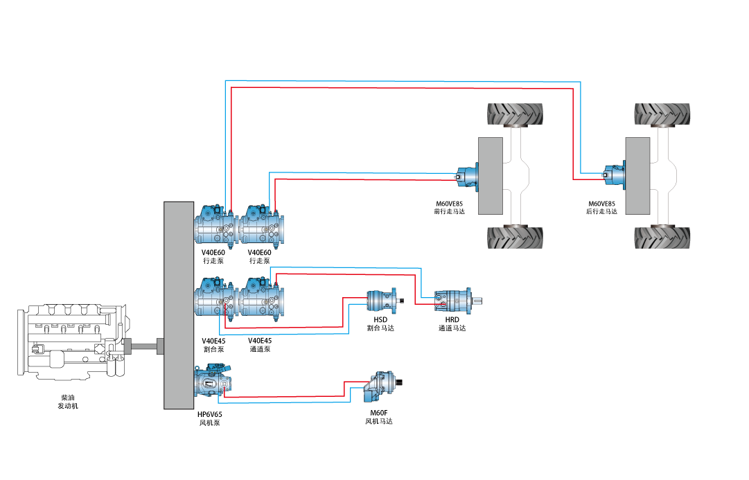 �����____1